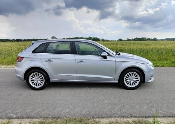 Audi A3 cena 49900 przebieg: 177800, rok produkcji 2015 z Janów Lubelski małe 781